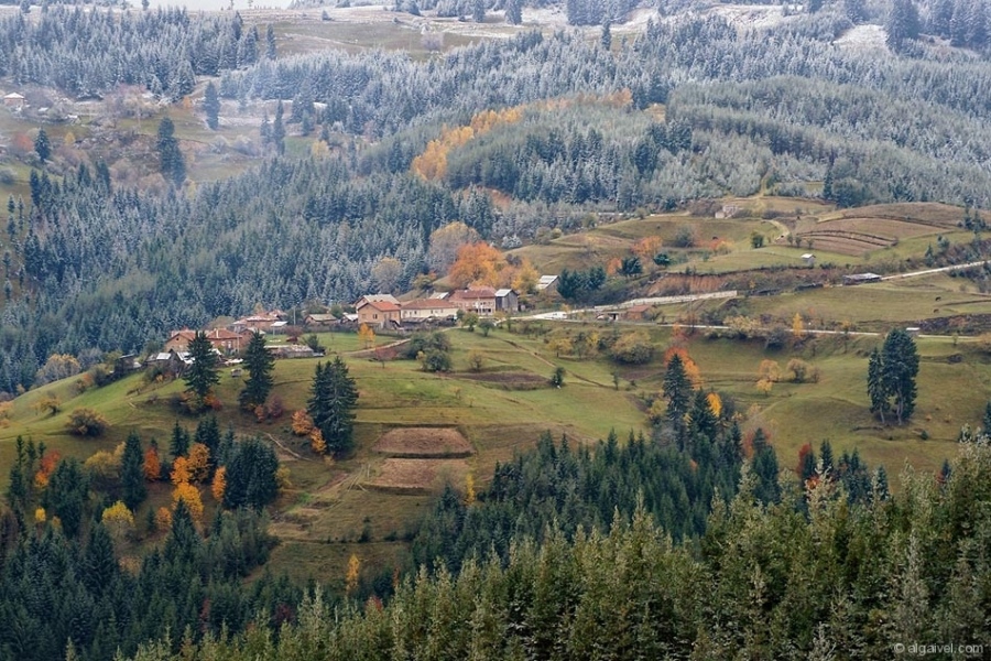 ЕсенноОбагрениДървета-14