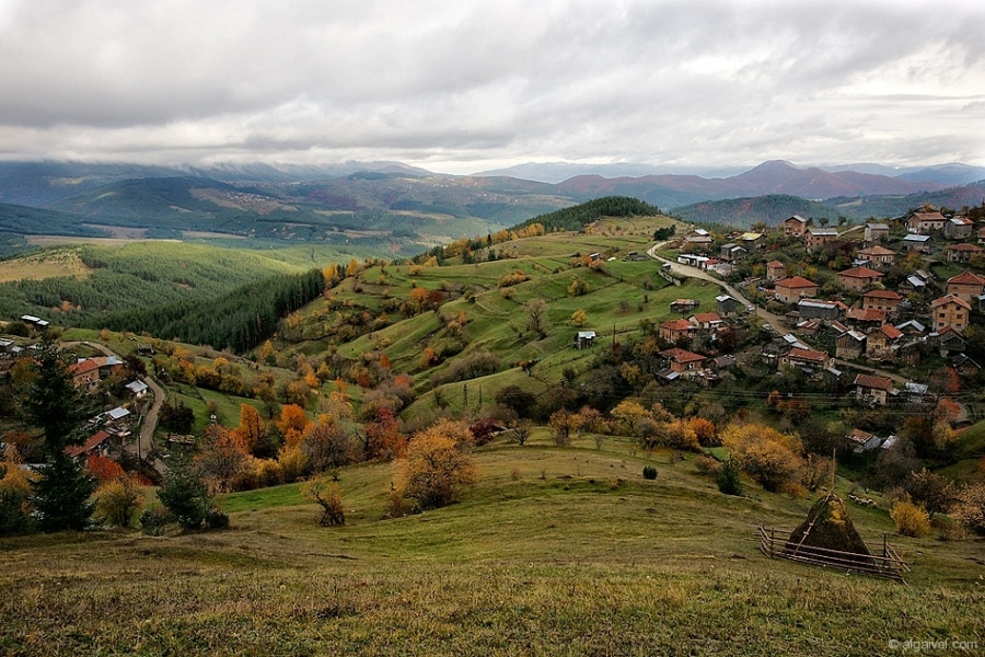 ЕсенноОбагрениДървета-19