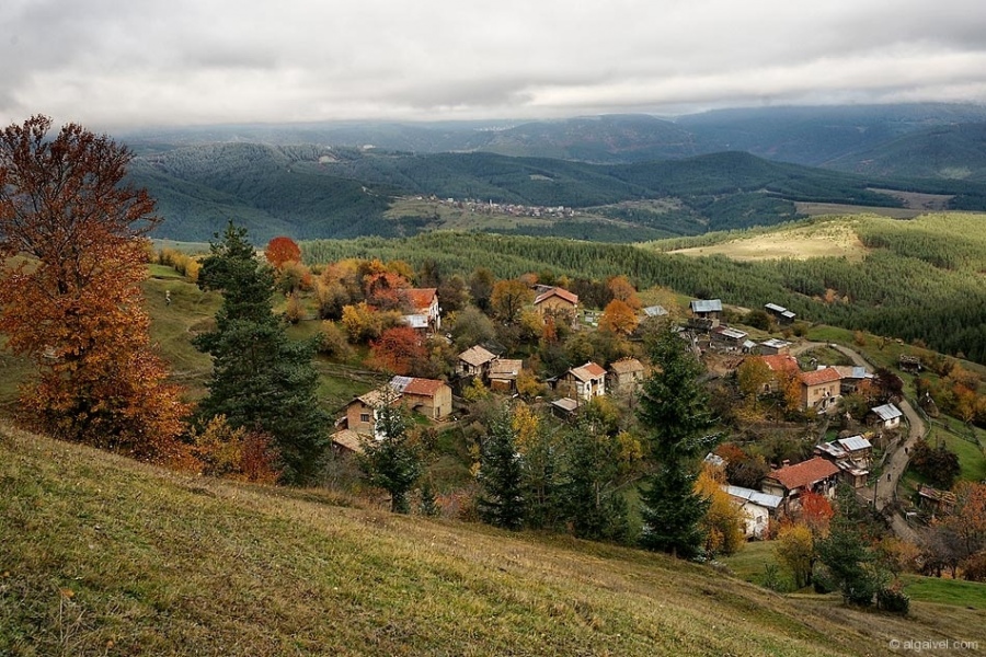 ЕсенноОбагрениДървета-21