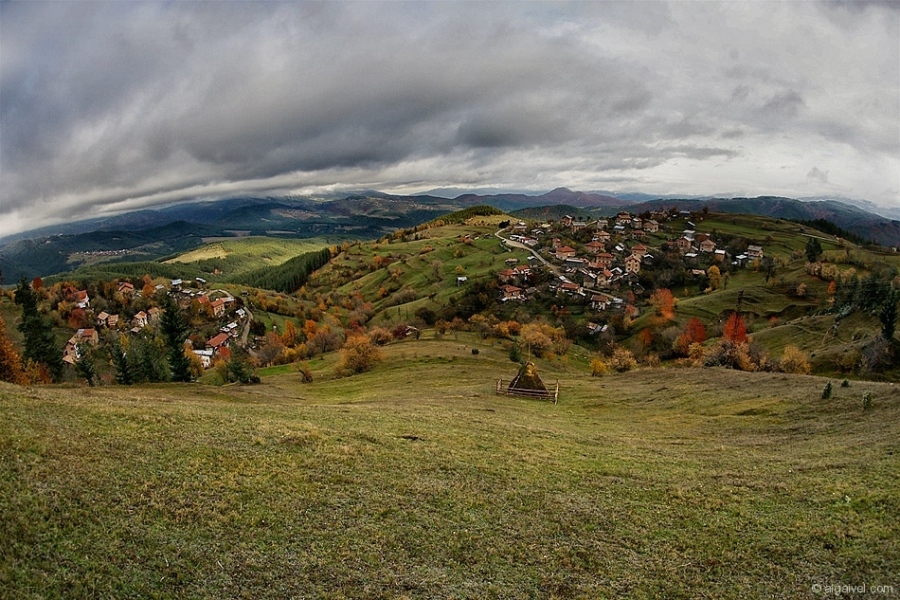 ЕсенноОбагрениДървета-23