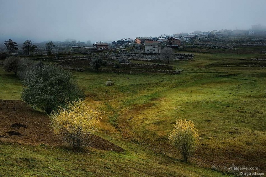 МъгливоУтроЕсен-2