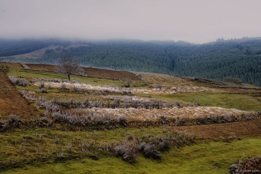 МъгливоУтроЕсен-3