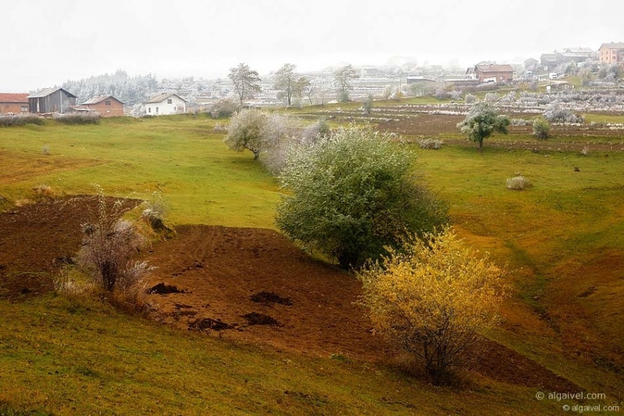 МъгливоУтроЕсен-4