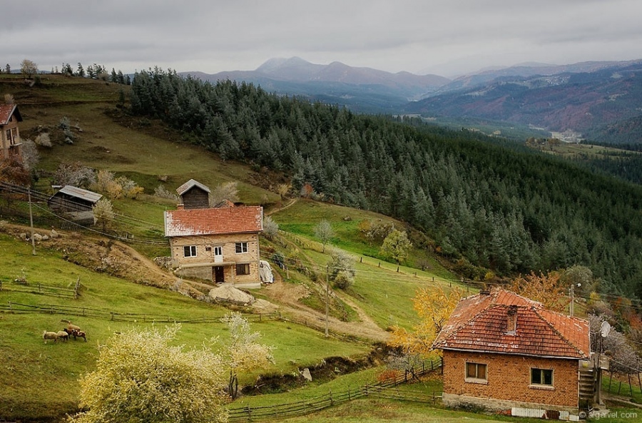 МъгливоУтроЕсен-6