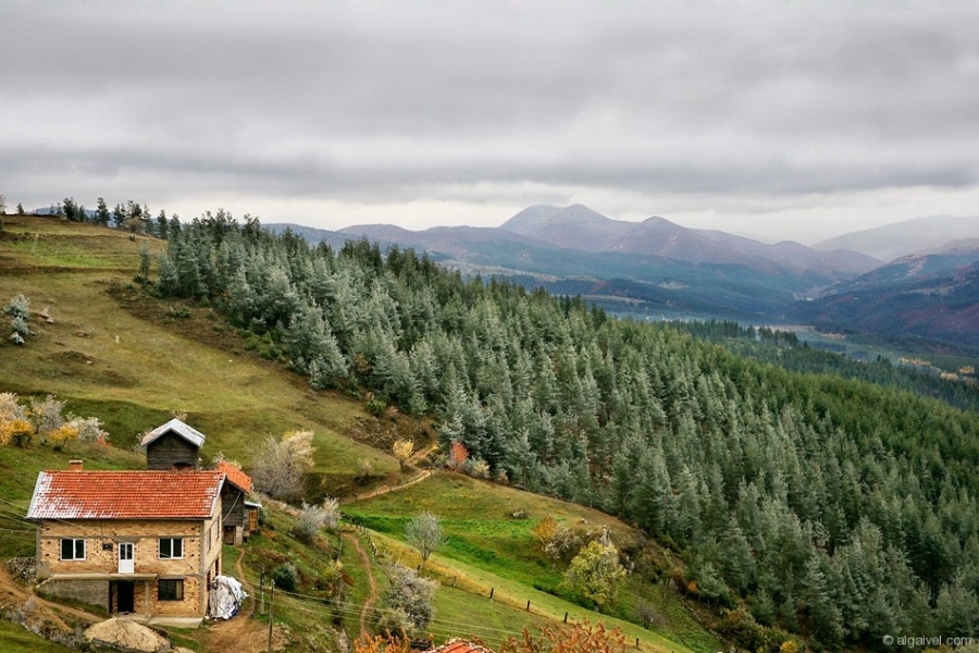 МъгливоУтроЕсен-7