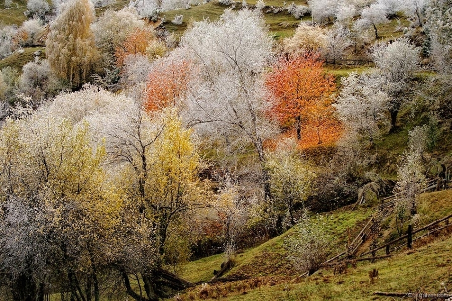 СкрежПокриРодопите-11