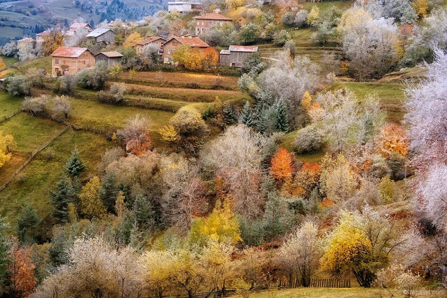 СкрежПокриРодопите-12