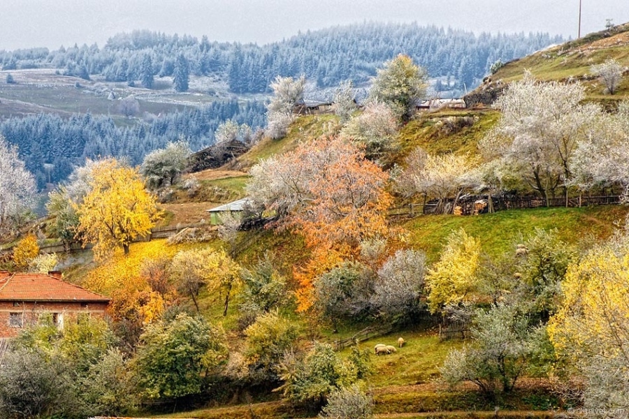 СкрежПокриРодопите-13