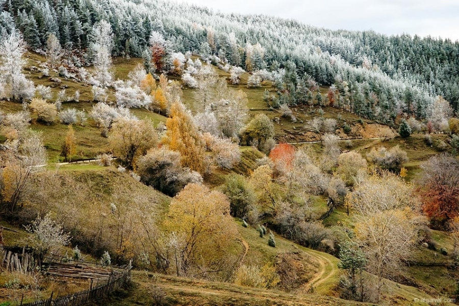 СкрежПокриРодопите-37