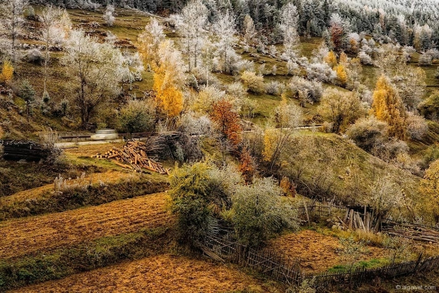 СкрежПокриРодопите-38