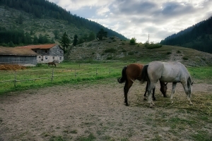 Триград.ПиянатаГора.ЧаирскиЕзера.Чамла55