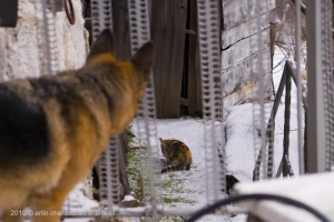 Участници.Пленер.Косово.Добралък3