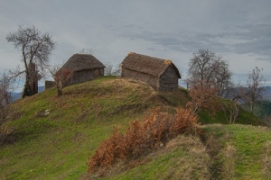 Заедно.Together.5