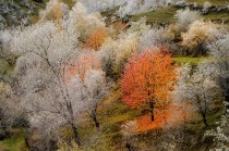 И скреж покри Родопите