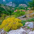 Фрагмент от село Косово