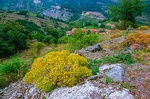 Фрагмент от село Косово