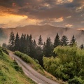 Път в Родопите