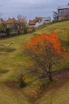 Есен на село